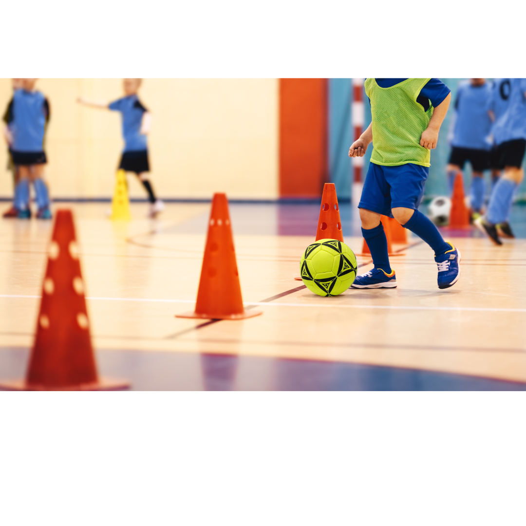 Pelota Futbol nro 5 Futsal Interior