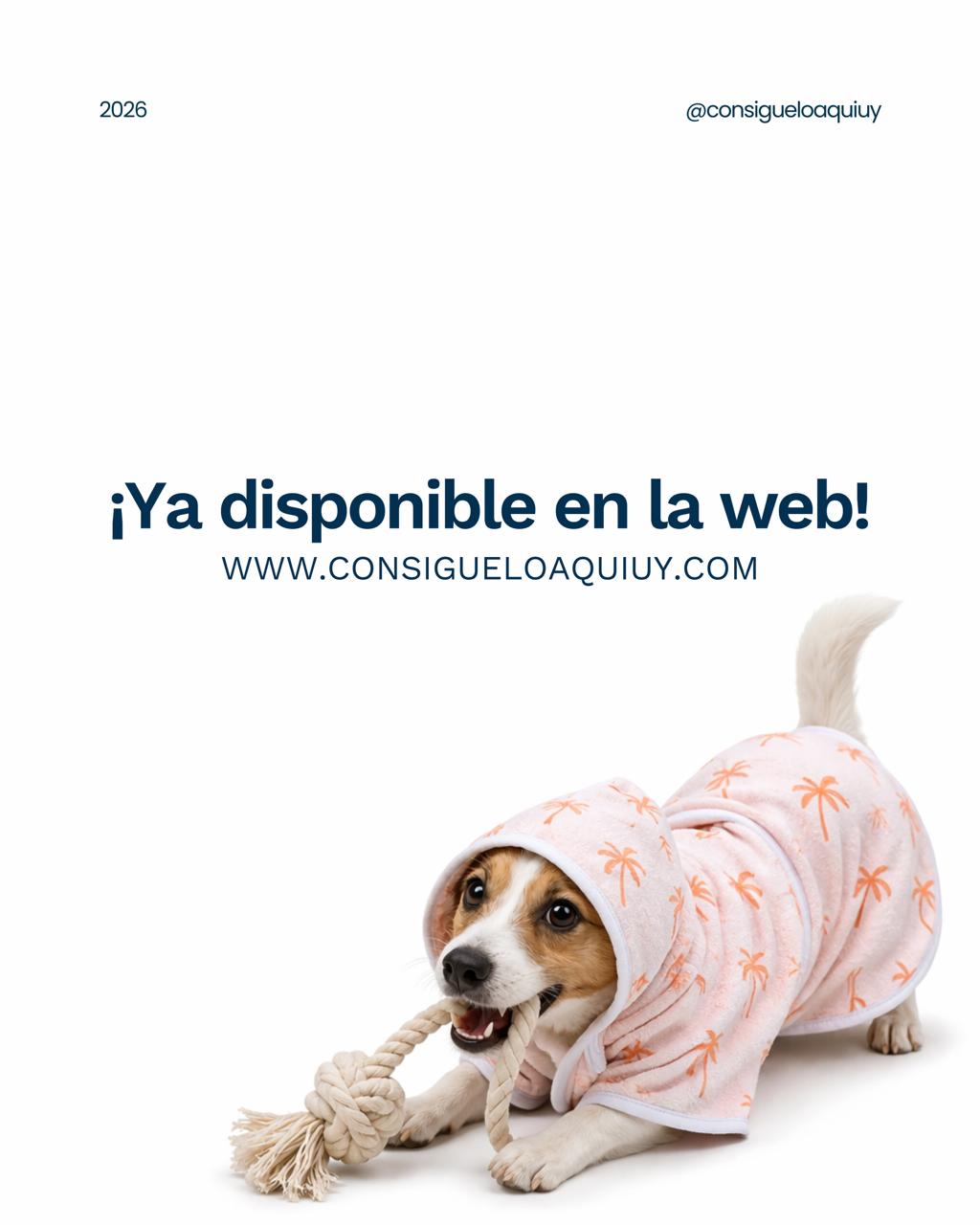 Toalla para Perros Microfibra Lavable Varios Tamaños